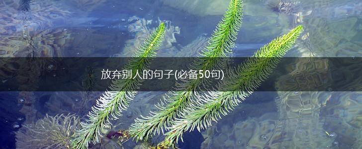 放弃别人的句子(必备50句),第1张