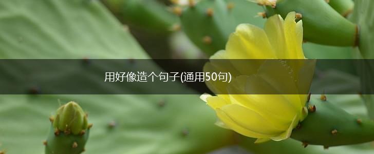 用好像造个句子(通用50句),第1张