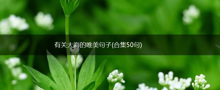 有关大海的唯美句子(合集50句),第1张