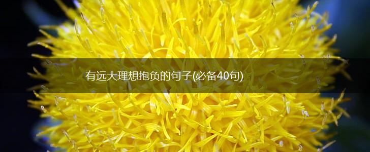 有远大理想抱负的句子(必备40句),第1张