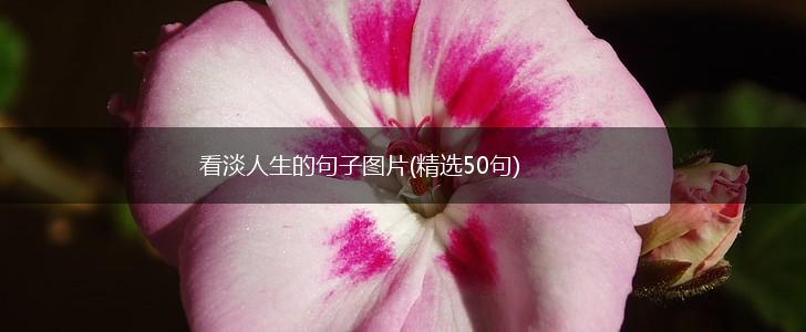 看淡人生的句子图片(精选50句),第1张