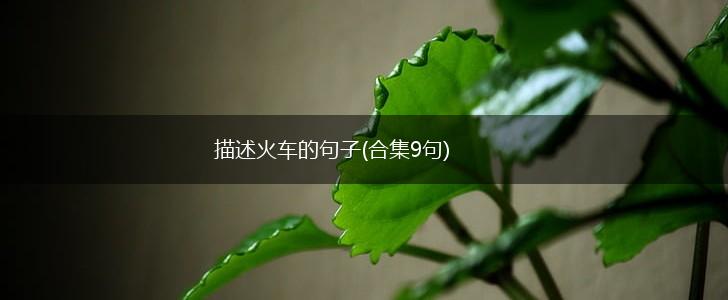 描述火车的句子(合集9句),第1张