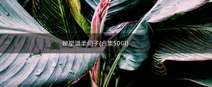 星星温柔句子(合集50句),第1张
