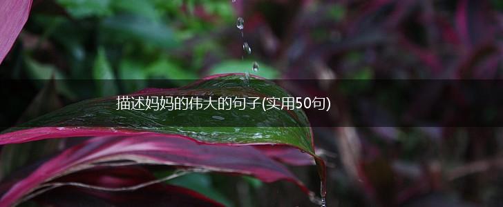 描述妈妈的伟大的句子(实用50句),第1张