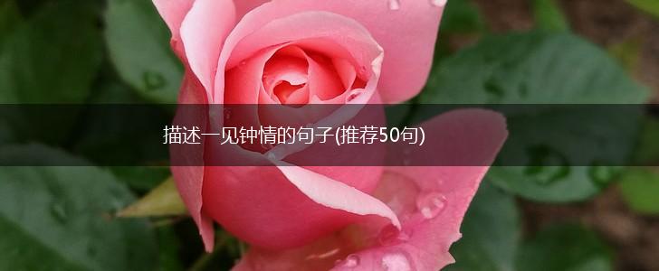 描述一见钟情的句子(推荐50句),第1张