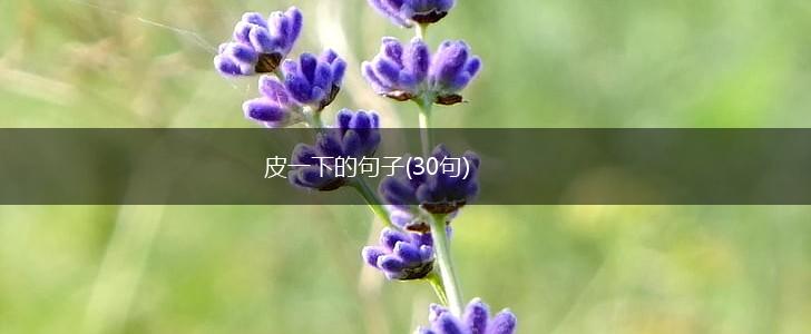 皮一下的句子(30句),第1张