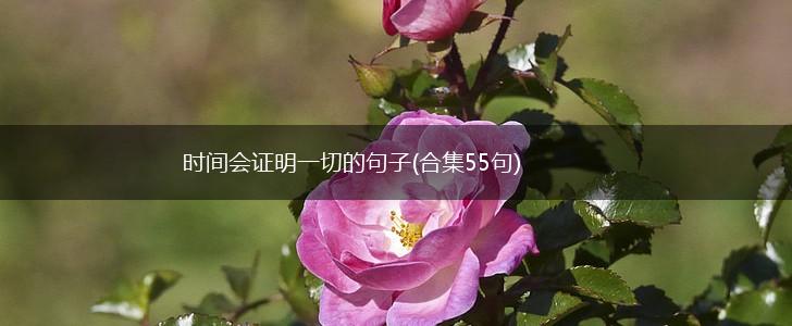 时间会证明一切的句子(合集55句),第1张