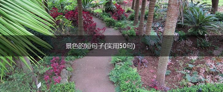 景色的短句子(实用50句),第1张