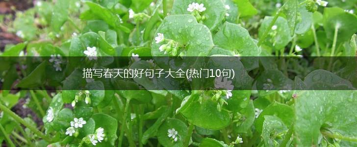 描写春天的好句子大全(热门10句),第1张