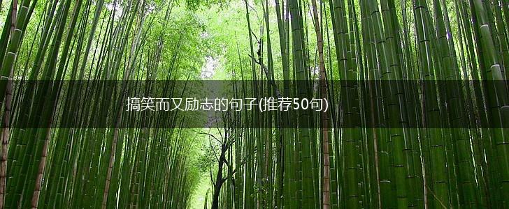 搞笑而又励志的句子(推荐50句),第1张