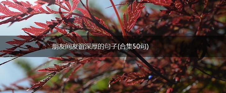朋友间友谊深厚的句子(合集50句),第1张