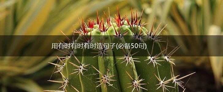 用有时有时有时造句子(必备50句),第1张