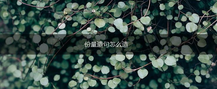 份量造句怎么造,第1张 份量造句怎么造,第1张