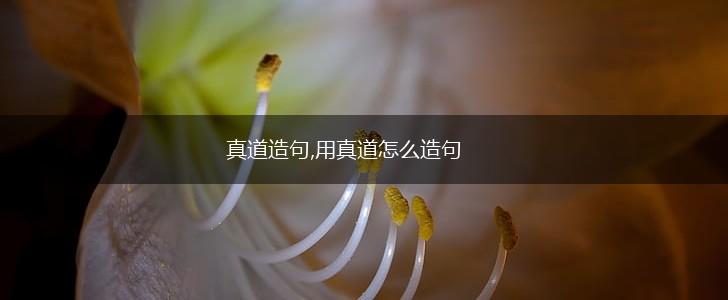 真道造句,用真道怎么造句,第1张 真道造句,用真道怎么造句,第1张