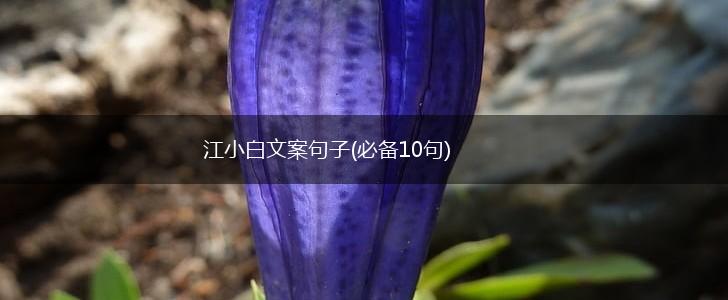 江小白文案句子(必备10句),第1张