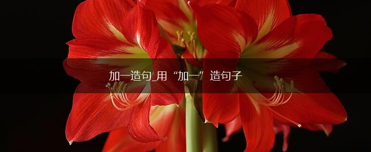 加一造句_用“加一”造句子,第1张