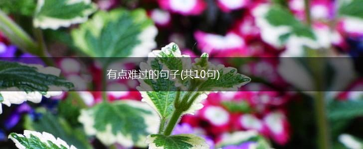 有点难过的句子(共10句),第1张