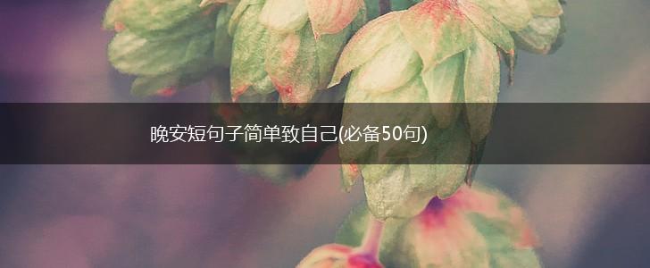 晚安短句子简单致自己(必备50句),第1张
