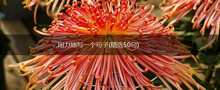 用力地写一个句子(精选50句),第1张