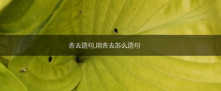 舍去造句,用舍去怎么造句,第1张