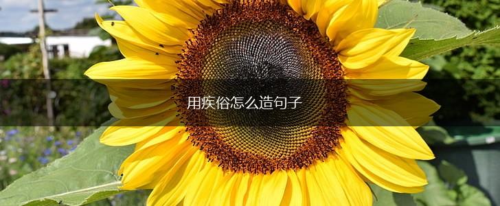 用疾俗怎么造句子,第1张