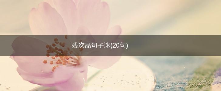 残次品句子迷(20句),第1张