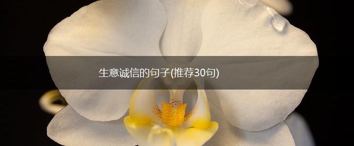 生意诚信的句子(推荐30句),第1张