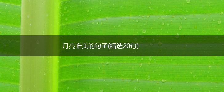 月亮唯美的句子(精选20句),第1张