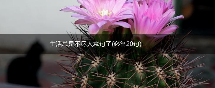 生活总是不尽人意句子(必备20句),第1张