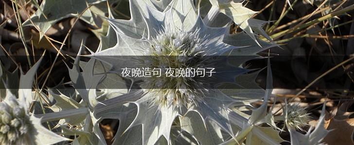 夜晚造句 夜晚的句子,第1张 夜晚造句 夜晚的句子,第1张