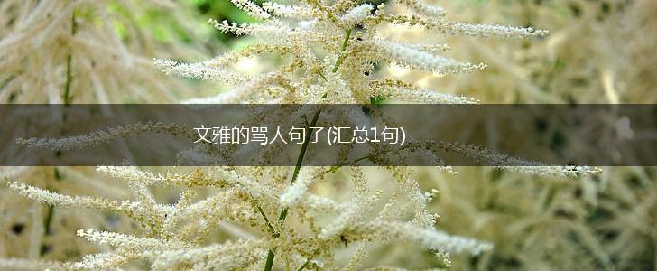 文雅的骂人句子(汇总1句),第1张
