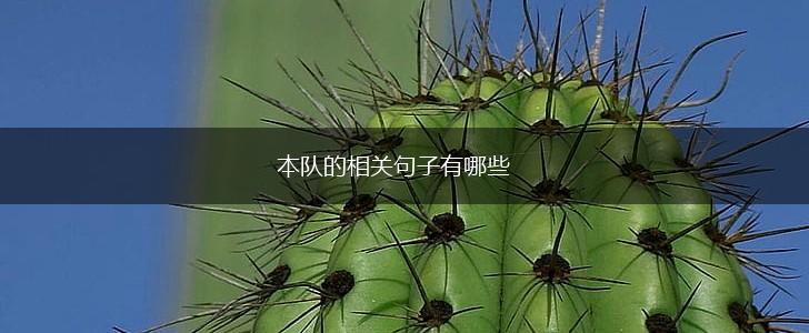 本队的相关句子有哪些,第1张