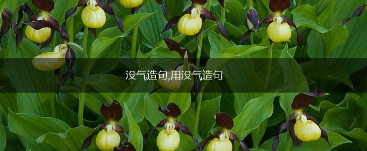 没气造句,用没气造句,第1张 没气造句,用没气造句,第1张