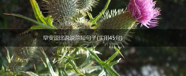 早安逗比说说简短句子(实用45句),第1张