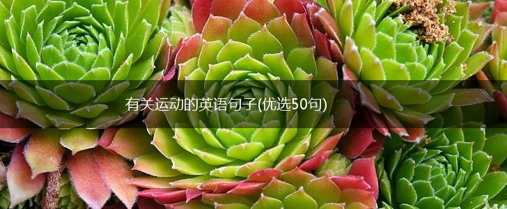 有关运动的英语句子(优选50句),第1张