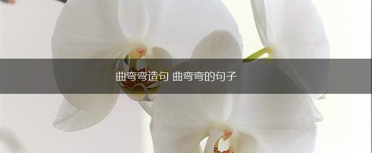 曲弯弯造句 曲弯弯的句子,第1张 曲弯弯造句 曲弯弯的句子,第1张