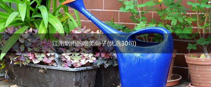 江南烟雨的唯美句子(优选30句),第1张