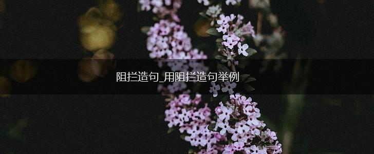 阻拦造句_用阻拦造句举例,第1张 阻拦造句_用阻拦造句举例,第1张