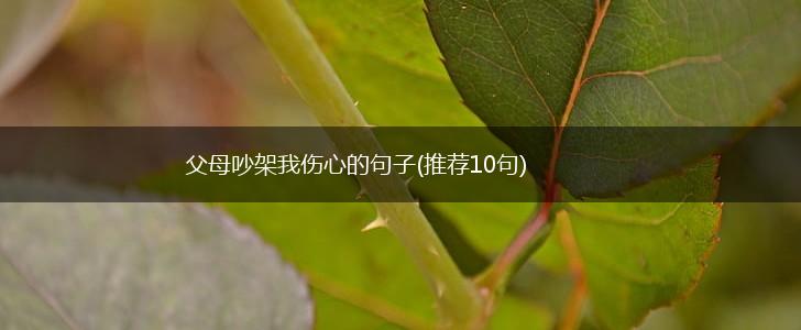 父母吵架我伤心的句子(推荐10句),第1张