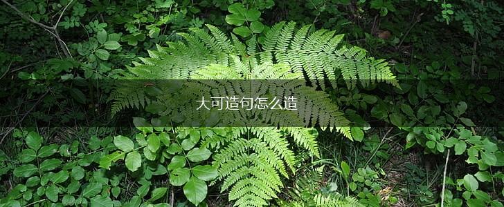 大可造句怎么造,第1张