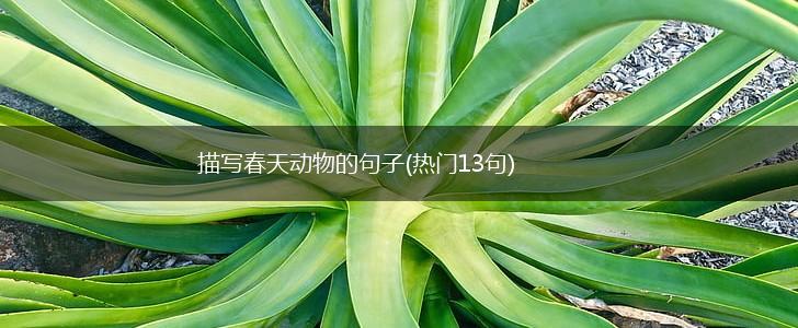 描写春天动物的句子(热门13句),第1张