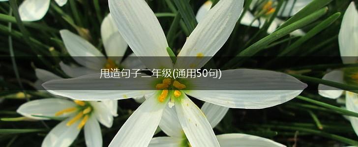 甩造句子二年级(通用50句),第1张