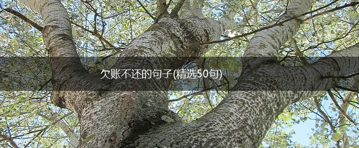 欠账不还的句子(精选50句),第1张
