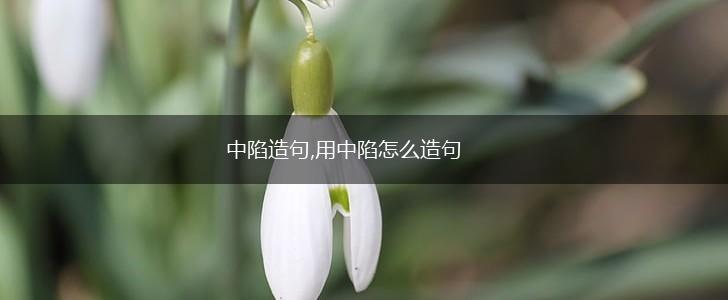 中陷造句,用中陷怎么造句,第1张 中陷造句,用中陷怎么造句,第1张