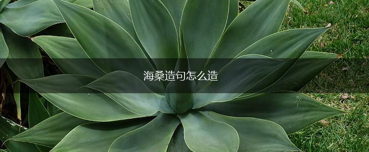 海桑造句怎么造,第1张 海桑造句怎么造,第1张