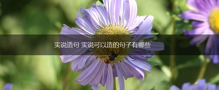 实说造句 实说可以造的句子有哪些,第1张 实说造句 实说可以造的句子有哪些,第1张