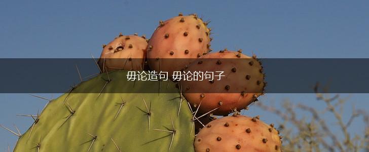 毋论造句 毋论的句子,第1张