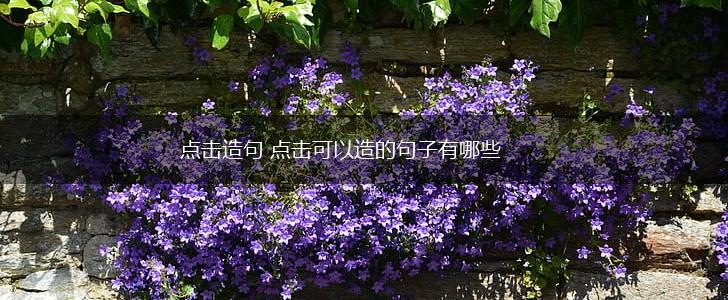 点击造句 点击可以造的句子有哪些,第1张