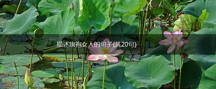 描述旗袍女人的句子(共20句),第1张