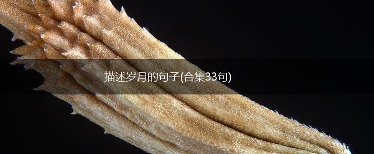 描述岁月的句子(合集33句),第1张